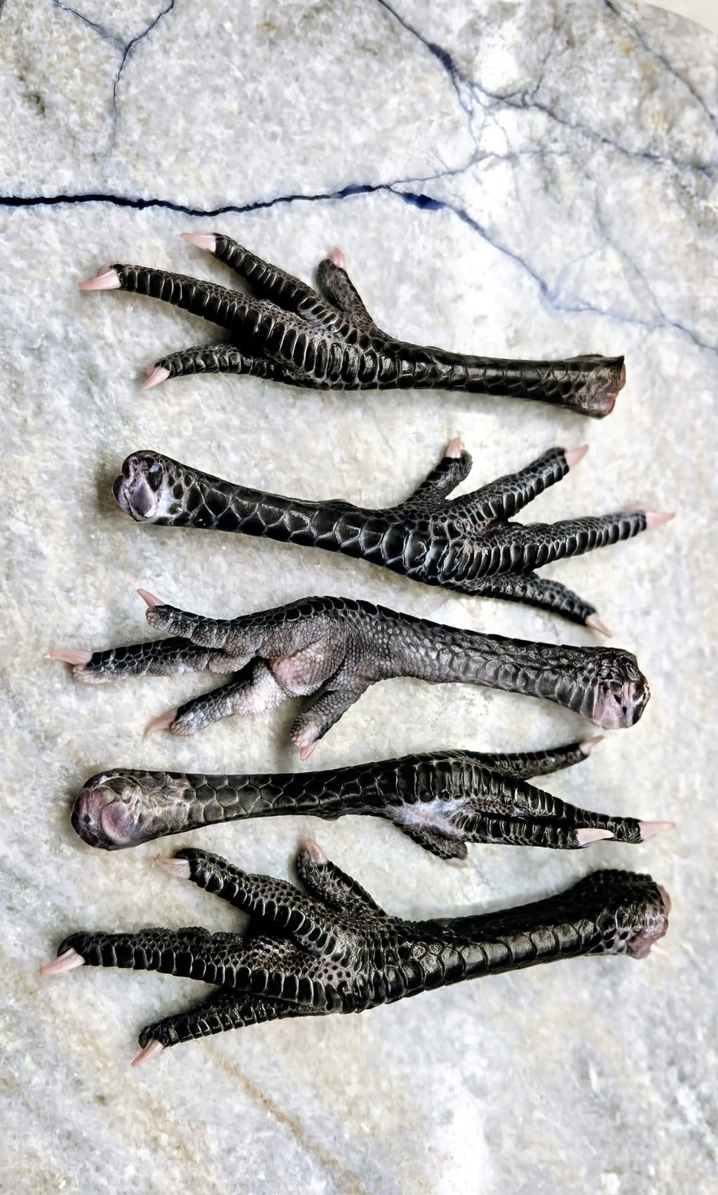 Poulet de Bresse Chicken Feet