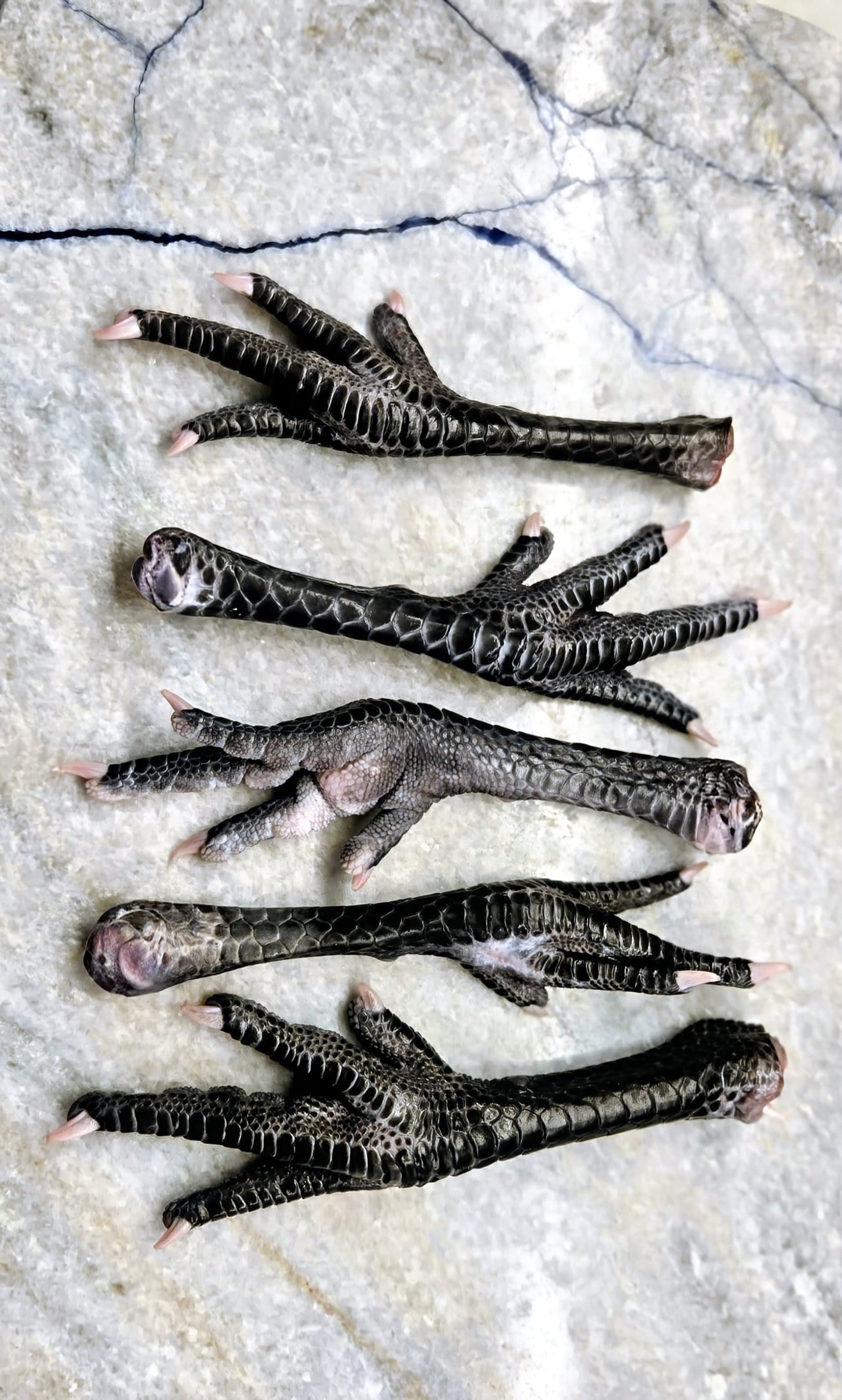 Poulet de Bresse Chicken Feet