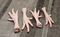 Corn and Soy Free Chicken Feet