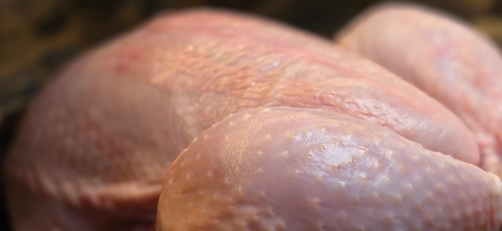 Corn and Soy Free Whole Chicken