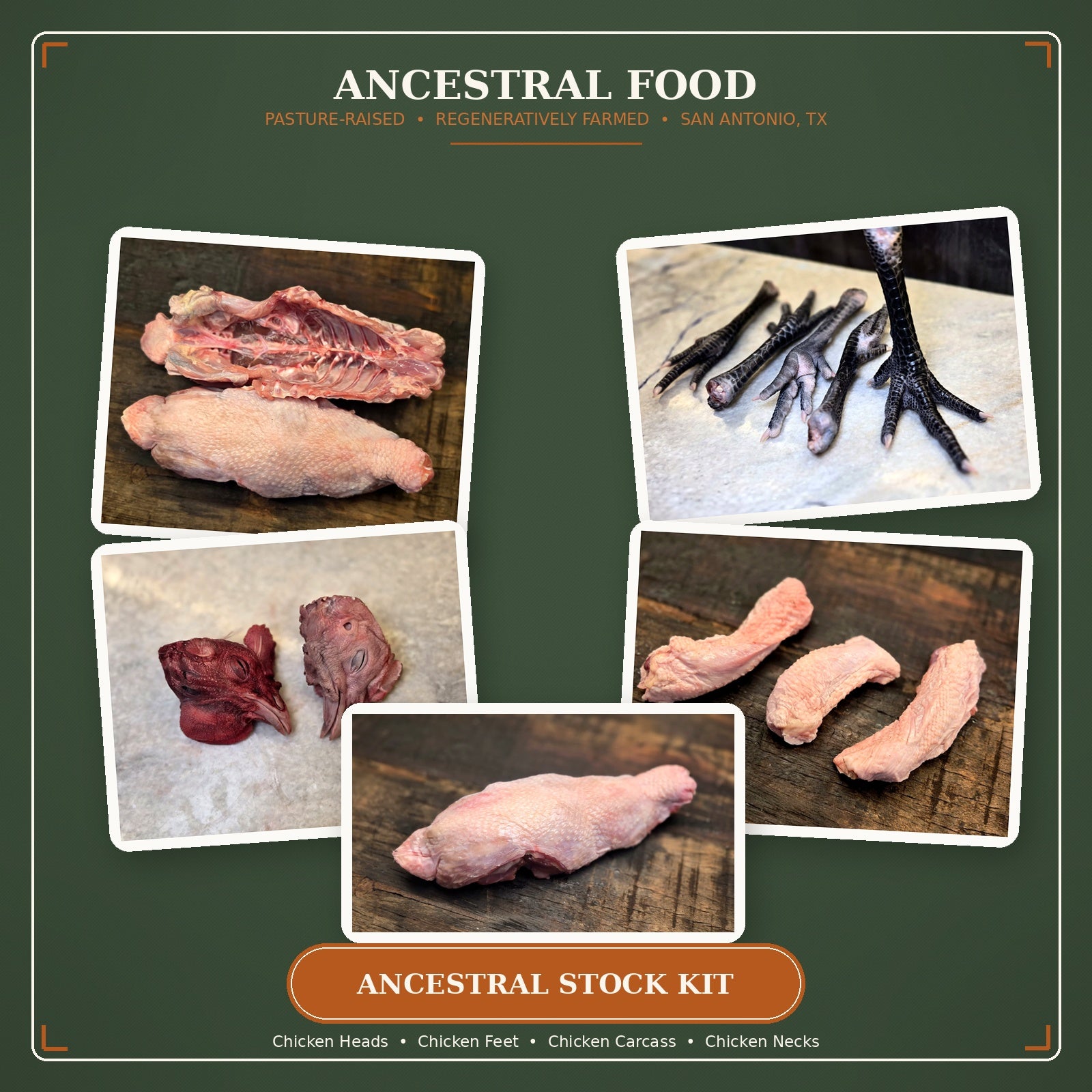 Ancestral Stock Kit Bundle