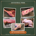 Ancestral Bundle